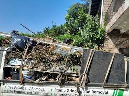 Best Shed Removal  in Princeton, MO